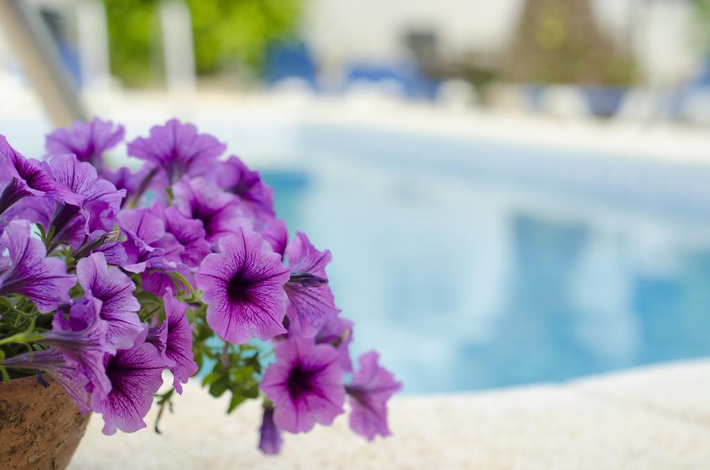 La Crisalida Retreats Leilighet El Albir Eksteriør bilde